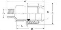 PP Compression Male Threaded Coupler for Water