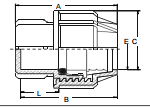 PP Compression Female Threaded Coupler for Water