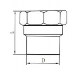 HDPE Socket Fusion Thread Female Union for Fuel Gas